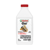 Huile pour moteur de moto Go!, 500 ml, Bouteille Advanced Consulting and Training Ltd.