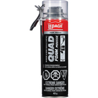 Quad&reg; Foam Window & Door Installation Foam, Aerosol Can, Tan Advanced Consulting and Training Ltd.