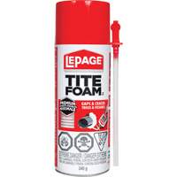 Titefoam Gaps & Cracks Insulating Foam Sealant, Aerosol Can, White Advanced Consulting and Training Ltd.