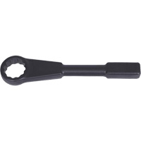 Cl&eacute; &agrave; frapper plate, 1-5/8", 12 pans Advanced Consulting and Training Ltd.