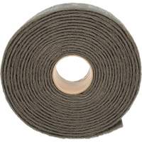 Ruban de nettoyage et de finition Scotch-Brite, Tr&egrave;s fin, 4" la x 30' lo Advanced Consulting and Training Ltd.