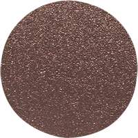 Disque de ponçage pour le bois, 20" dia., Grain 60 Advanced Consulting and Training Ltd.