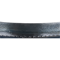Metal Cutting Bandsaw Blade, Metal, 93" L x 3/4" W x 0.032" Thick, 14 TPI Advanced Consulting and Training Ltd.