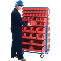Double-Sided Mobile Bin Rack, Double-sided, 96 bins, 36" W x 24" D x 63" H Advanced Consulting and Training Ltd.