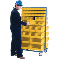 Double-Sided Mobile Bin Rack, Double-sided, 96 bins, 36" W x 24" D x 63" H Advanced Consulting and Training Ltd.
