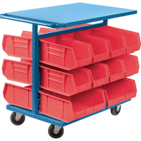 Bin Cart with Bins, Double-sided, 20 bins, 24" W x 38-1/2" D x 36-1/2" H Advanced Consulting and Training Ltd.
