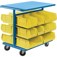 Bin Cart with Bins, Double-sided, 20 bins, 24" W x 38-1/2" D x 36-1/2" H Advanced Consulting and Training Ltd.