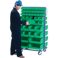 Double-Sided Mobile Bin Rack, Double-sided, 96 bins, 36" W x 24" D x 63" H Advanced Consulting and Training Ltd.