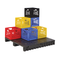 Caisse en plastique pour produits laitiers Advanced Consulting and Training Ltd.