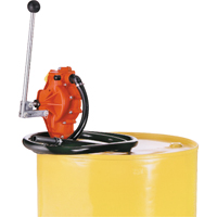 Transfer Pumps, Thermoplastic, 32 oz./Stroke, Fits 55 Gal./33 gal. Advanced Consulting and Training Ltd.
