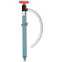 Pompes sanitaires - &agrave; amorçage automatique, Pour 45 gal., 8 oz/course Advanced Consulting and Training Ltd.