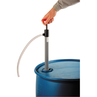 Pompes sanitaires - &agrave; amorçage automatique, Pour 45 gal., 8 oz/course Advanced Consulting and Training Ltd.