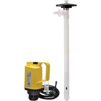 Electric Drum Pumps, PVDF, 42 GPM Advanced Consulting and Training Ltd.