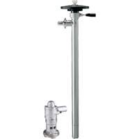 Pompes &agrave; tambour &agrave; air comprim&eacute;, 36 gal./min Advanced Consulting and Training Ltd.