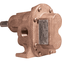 Rotary Gear Pumps, Stainless Steel, 9 gpm Advanced Consulting and Training Ltd.