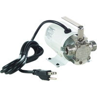 Non-Submersible, Self-Priming Plated Brass Transfer Pumps - Pump Only, 115 V, 360 GPH, 1/10 HP Advanced Consulting and Training Ltd.