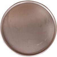 Steel Drum Lid Advanced Consulting and Training Ltd.