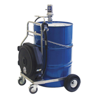 Pompe &agrave; huile pneumatique de s&eacute;rie LD, 7,8 gal./min, Rapport de pression de 3:1 Advanced Consulting and Training Ltd.