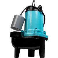 10SC Series Sewage Pump, 115 V, 11 A, 120 GPM, 1/2 HP Advanced Consulting and Training Ltd.