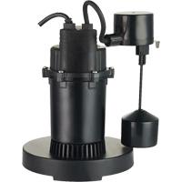 Thermoplastic Submersible Sump Pump, 2560 GPH, 115 V, 4.6 A, 1/3 HP Advanced Consulting and Training Ltd.