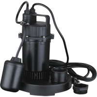 Thermoplastic Submersible Sump Pump, 2560 GPH, 115 V, 4.6 A, 1/3 HP Advanced Consulting and Training Ltd.