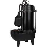 Cast Iron Effluent Pump, 4800 GPH, 120 V, 7.8 A, 1/2 HP Advanced Consulting and Training Ltd.