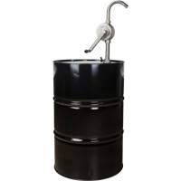Rotary Type Drum Pump, Stainless Steel, Fits 55 Gal., 12 oz./Stroke Advanced Consulting and Training Ltd.