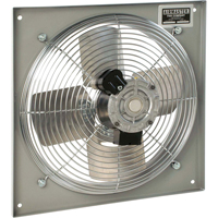 Ventilateurs muraux d'usage g&eacute;n&eacute;ral, Commercial, 2 vitesses, Diam&egrave;tre de 10" Advanced Consulting and Training Ltd.
