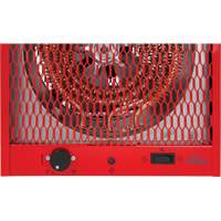Radiateur, Entrepreneur, &eacute;lectrique, 19100 BTU/H Advanced Consulting and Training Ltd.