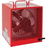 Radiateur, Entrepreneur, &eacute;lectrique, 19100 BTU/H Advanced Consulting and Training Ltd.