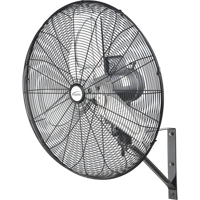 Ventilateur mural oscillant, Industriel, 2 vitesses, Diam&egrave;tre de 24" Advanced Consulting and Training Ltd.