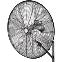 Ventilateur mural oscillant, Industriel, 2 vitesses, Diam&egrave;tre de 30" Advanced Consulting and Training Ltd.