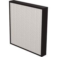 AeraMax&reg; Pro AM3 & AM4 2" True HEPA Filter, Box, 13.75" W x 2.25" D x 14.38" H Advanced Consulting and Training Ltd.