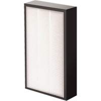 AeraMax&reg; Pro AM2 1-3/4" True HEPA Filter, Box, 7.38" W x 1.88" D x 12.88" H Advanced Consulting and Training Ltd.