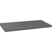 Tablettes de rechange pour armoire, 47-1/2" x 16-3/8", Capacit&eacute; de 700 lb, Acier, Gris Advanced Consulting and Training Ltd.