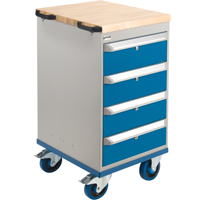 Mobile Cabinet Benches- Assembly Kits, Single Advanced Consulting and Training Ltd.