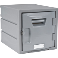Casier, 12" x 15" x 12", Gris, Assembl&eacute; Advanced Consulting and Training Ltd.