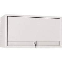 Arlink Workstation - Overhead Cabinets Advanced Consulting and Training Ltd.