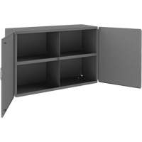 Armoire murale, 24" h x 33-13/16" la x 12-3/8" p, 1 tablettes, Acier, Gris Advanced Consulting and Training Ltd.