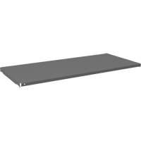 Tablette pour armoire, 47-3/4" x 21-3/8", Capacit&eacute; de 750 lb, Gris Advanced Consulting and Training Ltd.