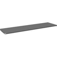 Tablette pour armoire, 59-3/4" x 16-3/8", Capacit&eacute; de 500 lb, Gris Advanced Consulting and Training Ltd.