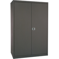 Armoires de rangement Hi-Boy profondes, Acier, 4 Tablettes, 72" h x 36" la x 24" P, Charbon Advanced Consulting and Training Ltd.