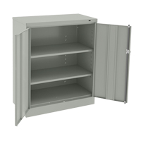 Counter High Cabinet, Steel, 2 Shelves, 42" H x 36" W x 18" D, Light Grey Advanced Consulting and Training Ltd.