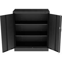 Standard Counter-High Cabinet, Steel, 2 Shelves, 42" H x 36" W x 18" D, Black Advanced Consulting and Training Ltd.