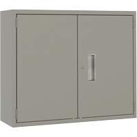 Wall Mounted Cabinet, Steel, 2 Shelves, 30" H x 36" W x 12" D, Grey Advanced Consulting and Training Ltd.