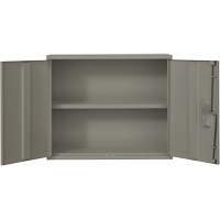 Wall Mounted Cabinet, Steel, 2 Shelves, 30" H x 36" W x 12" D, Grey Advanced Consulting and Training Ltd.