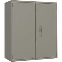 Lo-Boy Storage Cabinet, Steel, 2 Shelves, 40" H x 36" W x 18" D, Grey Advanced Consulting and Training Ltd.
