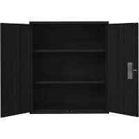 Lo-Boy Storage Cabinet, Steel, 2 Shelves, 42" H x 36" W x 18" D, Black Advanced Consulting and Training Ltd.