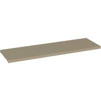 Additional Shelf for 94 Series Cabinets, 36" x 18", 150 lbs. Capacity, Steel, Beige Advanced Consulting and Training Ltd.