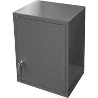 Armoire murale, 27" h x 13-11/16" la x 18" p, 2 tablettes, Acier, Gris Advanced Consulting and Training Ltd.